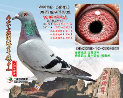 山农大春棚决赛282名