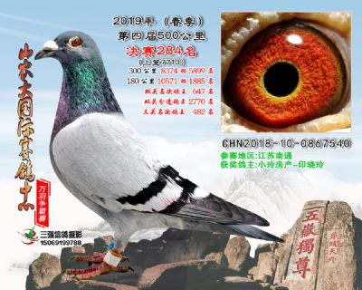山农大春棚决赛284名