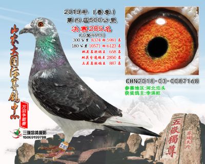 山农大春棚决赛285名