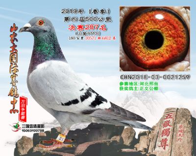 山农大春棚决赛287名