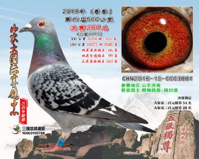山农大春棚决赛288名