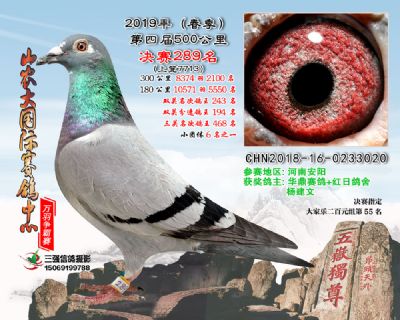 山农大春棚决赛289名