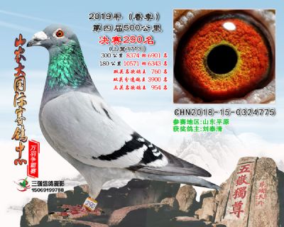 山农大春棚决赛290名