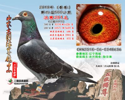 山农大春棚决赛291名