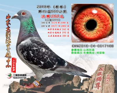 山农大春棚决赛292名