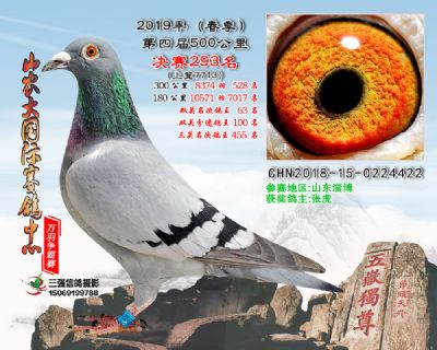 山农大春棚决赛293名