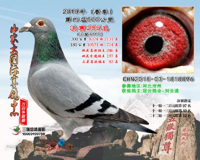 山农大春棚决赛295名