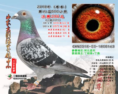 山农大春棚决赛296名