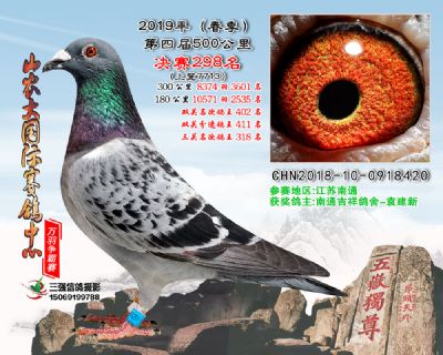 山农大春棚决赛298名
