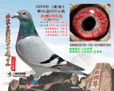 山农大春棚决赛297名