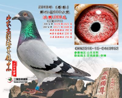 山农大春棚决赛299名
