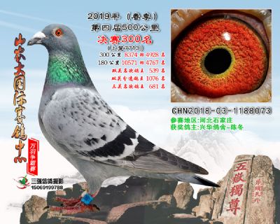 山农大春棚决赛300名
