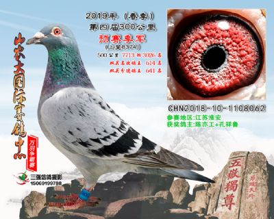 山农大国际赛鸽中心-中国信鸽信息网各地公棚