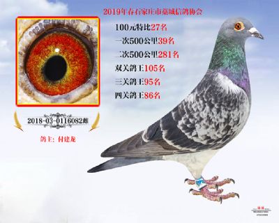27