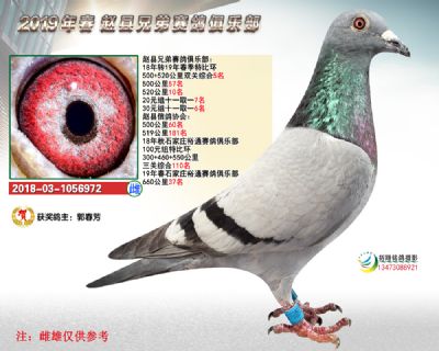 精英赛双关5名