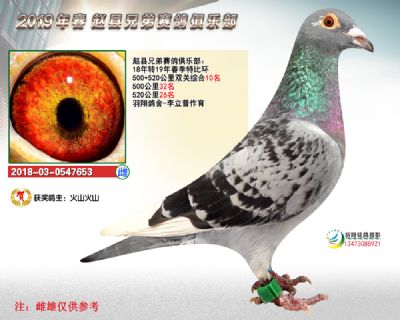 精英赛双关10名