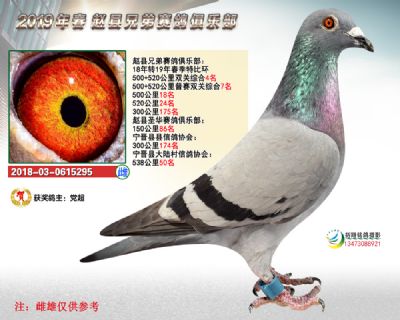 精英赛双关4名