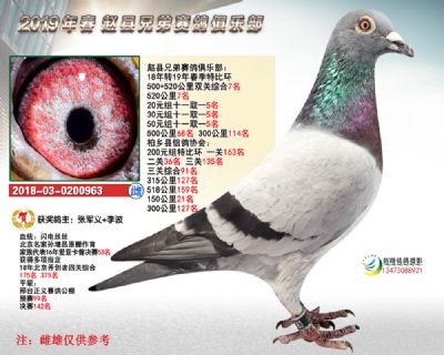 精英赛双关7名