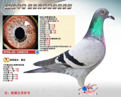 精英赛双关9名
