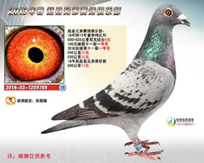 精英赛双关8名