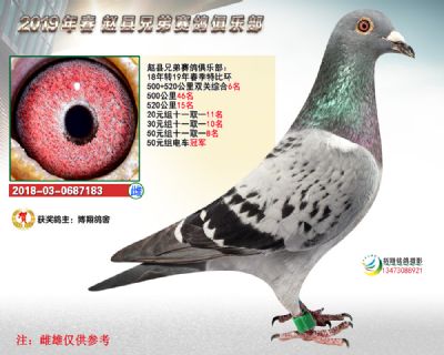 精英赛双关6名