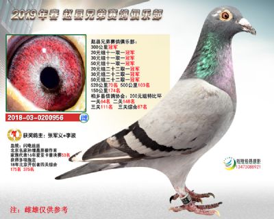 300公里冠军