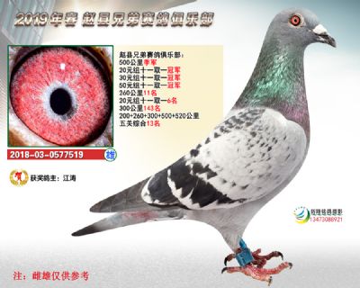 500公里季军