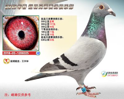 500亚军