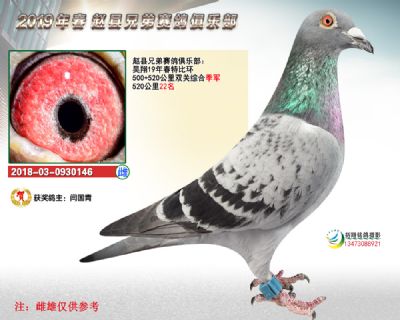 昊翔春季特比季军