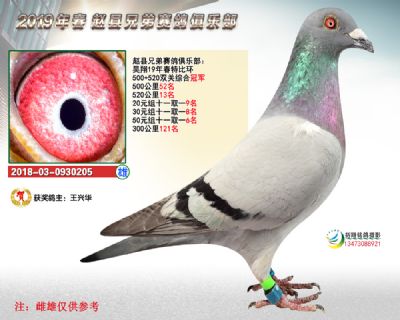 昊翔春季特比冠军