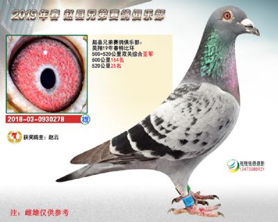 昊翔春季春季亚军