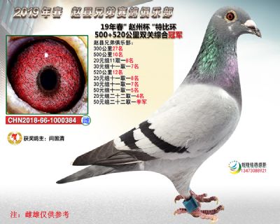 赵州杯双关综合冠军