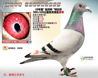 赵州杯双关综合季军