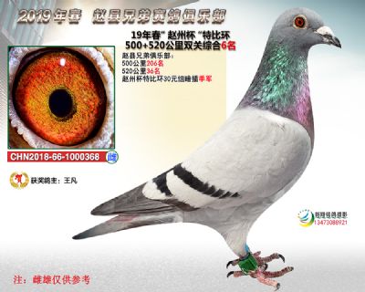 赵州杯双关综合6名