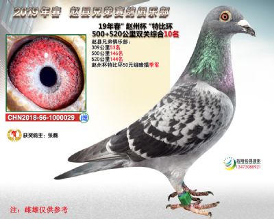 赵州杯双关综合10名