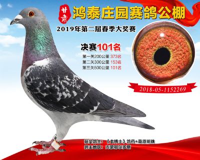 甘肃鸿泰庄园决赛101名