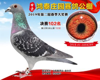 甘肃鸿泰庄园决赛102名