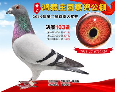 甘肃鸿泰庄园决赛103名