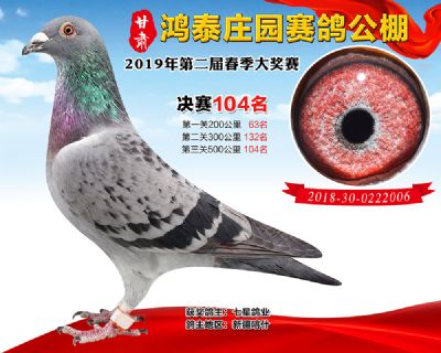 甘肃鸿泰庄园决赛104名