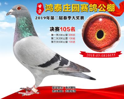 甘肃鸿泰庄园决赛105名