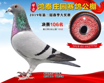 甘肃鸿泰庄园决赛106名
