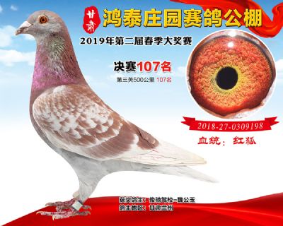 甘肃鸿泰庄园决赛107名