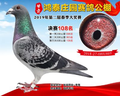 甘肃鸿泰庄园决赛108名