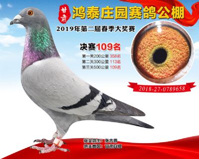 甘肃鸿泰庄园决赛109名