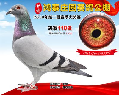 甘肃鸿泰庄园决赛110名