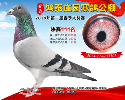 甘肃鸿泰庄园决赛111名