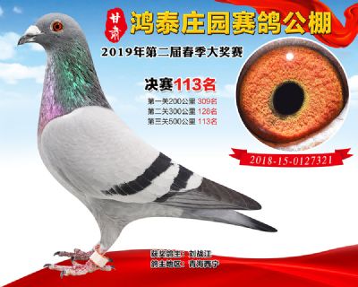 甘肃鸿泰庄园决赛113名