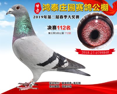甘肃鸿泰庄园决赛112名