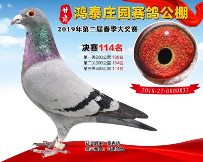 甘肃鸿泰庄园决赛114名