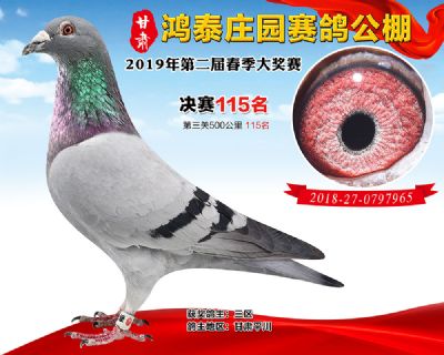 甘肃鸿泰庄园决赛115名